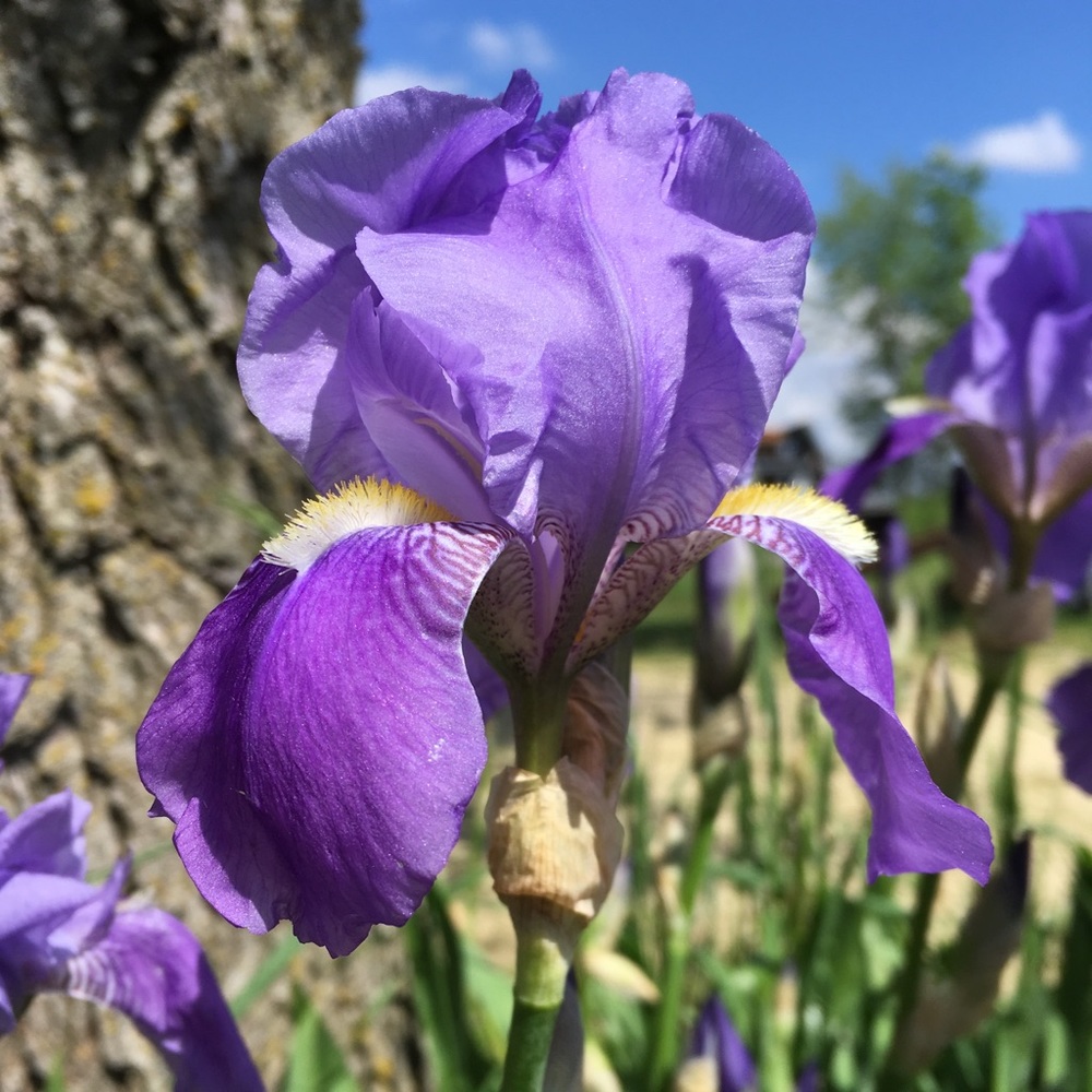 Meet your Posher, Terri